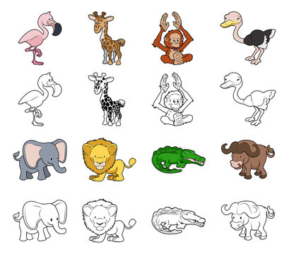 Cartoon Safari Animal Illustrations