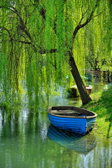 Salice piangente e barca sull'Adda a  Brivio, Lombardia, Italia © franco ricci