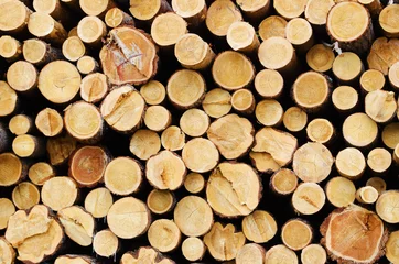 Möbelaufkleber stacked logs of trees © Serg_Zavyalov_photo