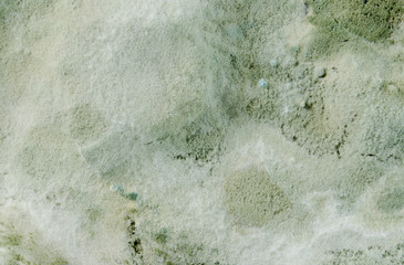 Mold