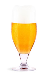 Frosty glass of light beer isolated