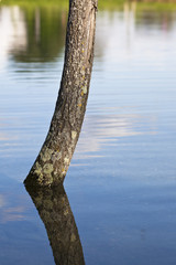 Mirror in the nature