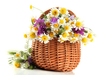 Obraz na płótnie Canvas Beautiful wild flowers in basket, isolated on white