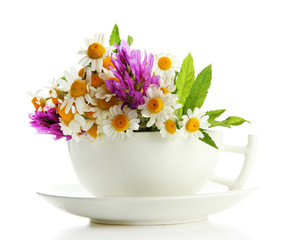 Beautiful wild flowers and mint in cup, isolated on white