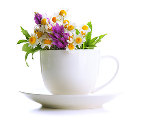 Beautiful wild flowers and mint in cup, isolated on white
