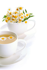 Cups of herbal tea and wild camomiles, isolated on white