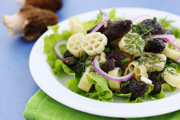 macaroni with morel