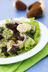 macaroni with roasted morels