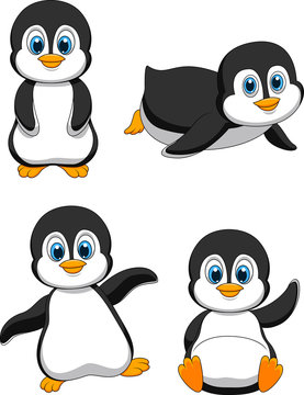 Cute penguin cartoon