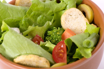 Tasty Salad on white background