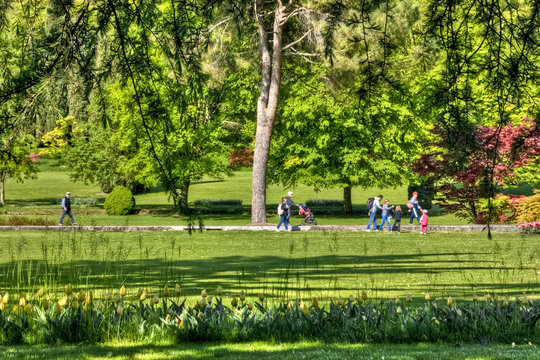 Al parco