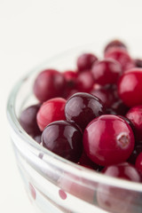 Glass bowl with cranberries on white background