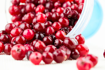 Fototapeta premium Glass bowl with cranberries on white background