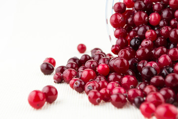 Glass bowl with cranberries on white background