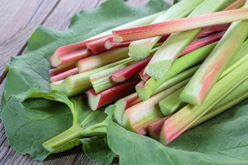 Fresh rhubarb