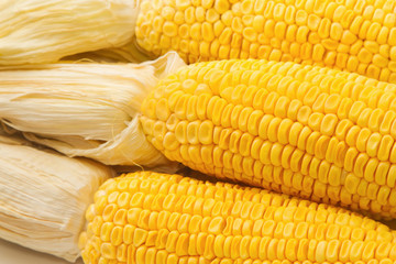 Yellow sweet corn cob for background