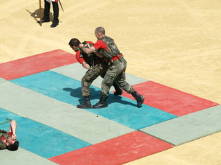 Artes marciales  Guardia Real 3