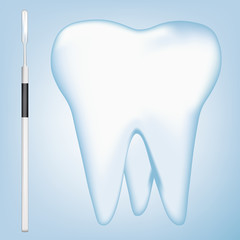 dental tools and tooth design elements. vector mesh illustration