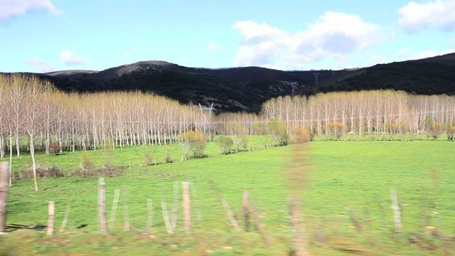 Traveling de paisaje de prados desde coche
