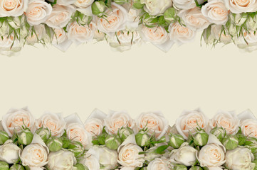Obraz na płótnie Canvas linia białych róż