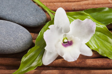 Fototapeta na wymiar calming composition of oval river's stones with orchid flower.