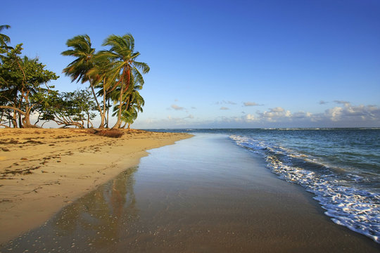 Las Terrenas beach, Samana peninsula