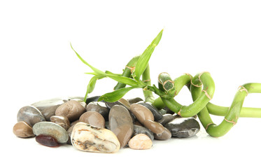 Still life with green bamboo plant and stones, isolated on