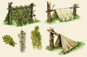 Illustration of survival shelters in the woods