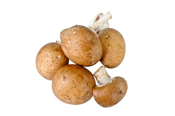 braune Champignons