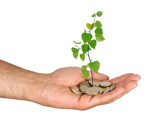 Investment to green business