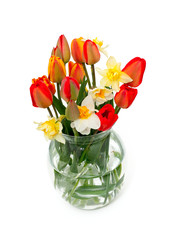 tulips and narcissus flowers in a glass vase