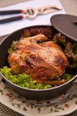 pollo