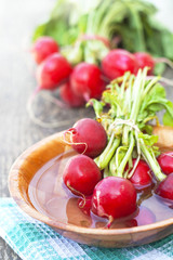 fresh radishes