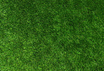 Obraz premium Texture green lawn