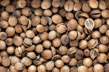 Spice for cooking. It is photographed close