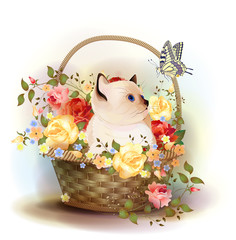 Illustration of  the siamese kitten sitting in a basket with ros