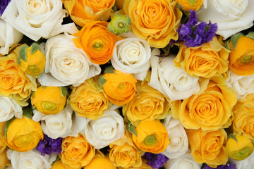 Fototapeta na wymiar yellow and white bridal flowers