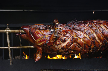 Grilled Suckling pig over open fire