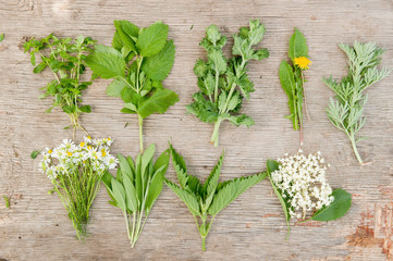 Variety of fresh herbs