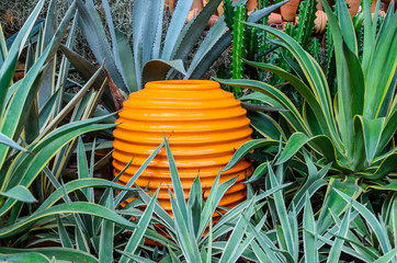 Fototapeta premium Jar in the park