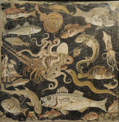 Mosaico Romano Pompeya