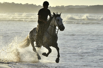Riders and her horse gallop along the beach