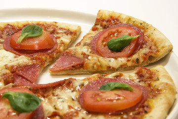 pizza with salami and cheese