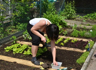 Gartenarbeiten