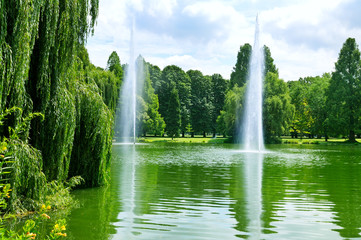 beautiful landscape with a lake with fountains and  park