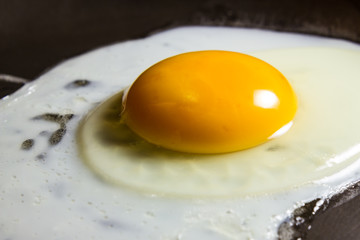 Fried egg