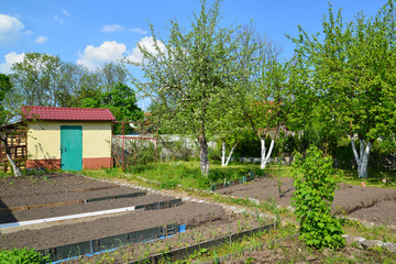 Garden section in the spring