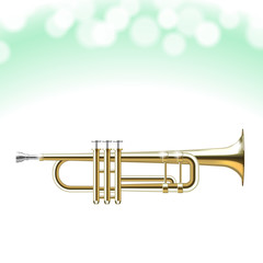 Obraz na płótnie Canvas Golden Trumpet
