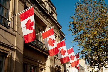 Canadian National Flags, Canada House, London.