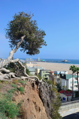 Santa Monica beach in Los Angeles. USA